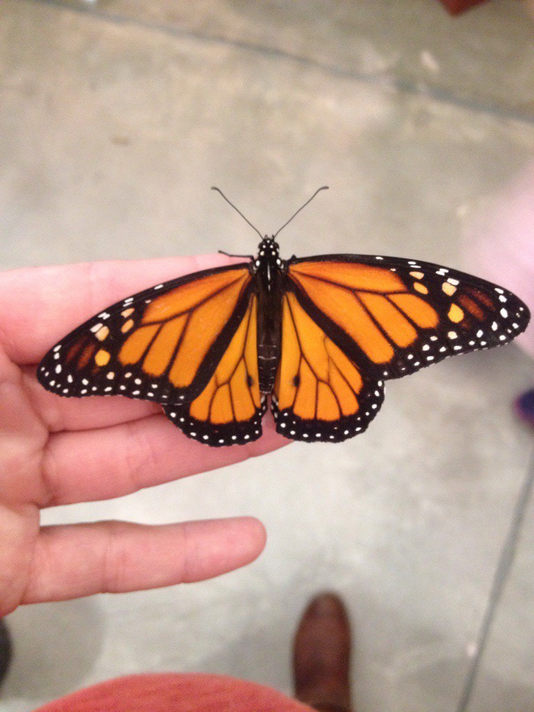 Money isn’t everything when it comes to&nbsp;conservation