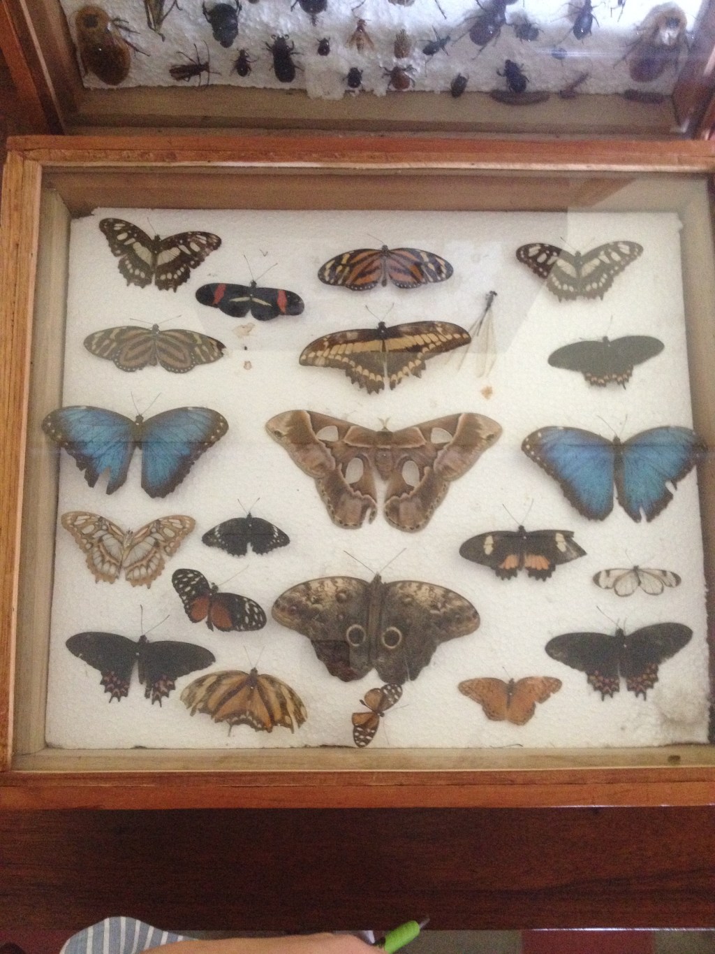 Creative connections