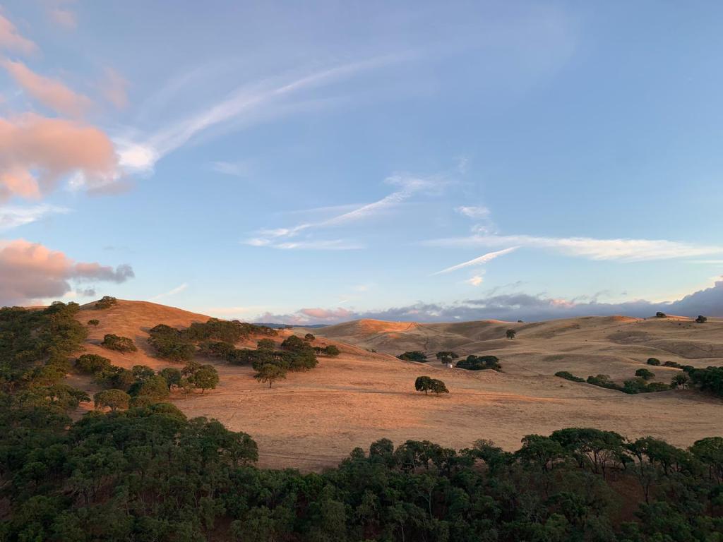 Acknowledging the Privilege of a Rural&nbsp;Life