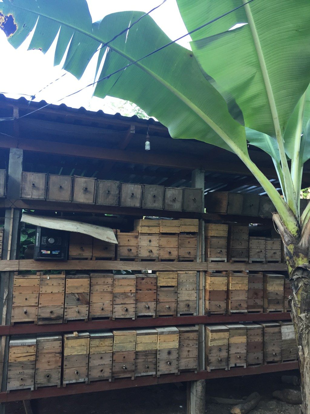 Taking a Step Back and Making Space for New Voices at the&nbsp;Table