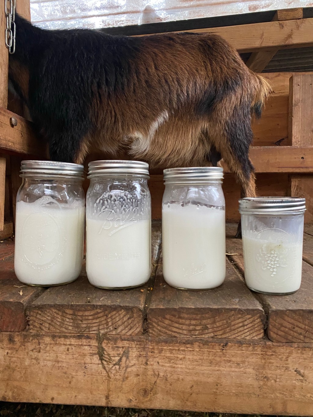 What happens when I skip milking&nbsp;days?