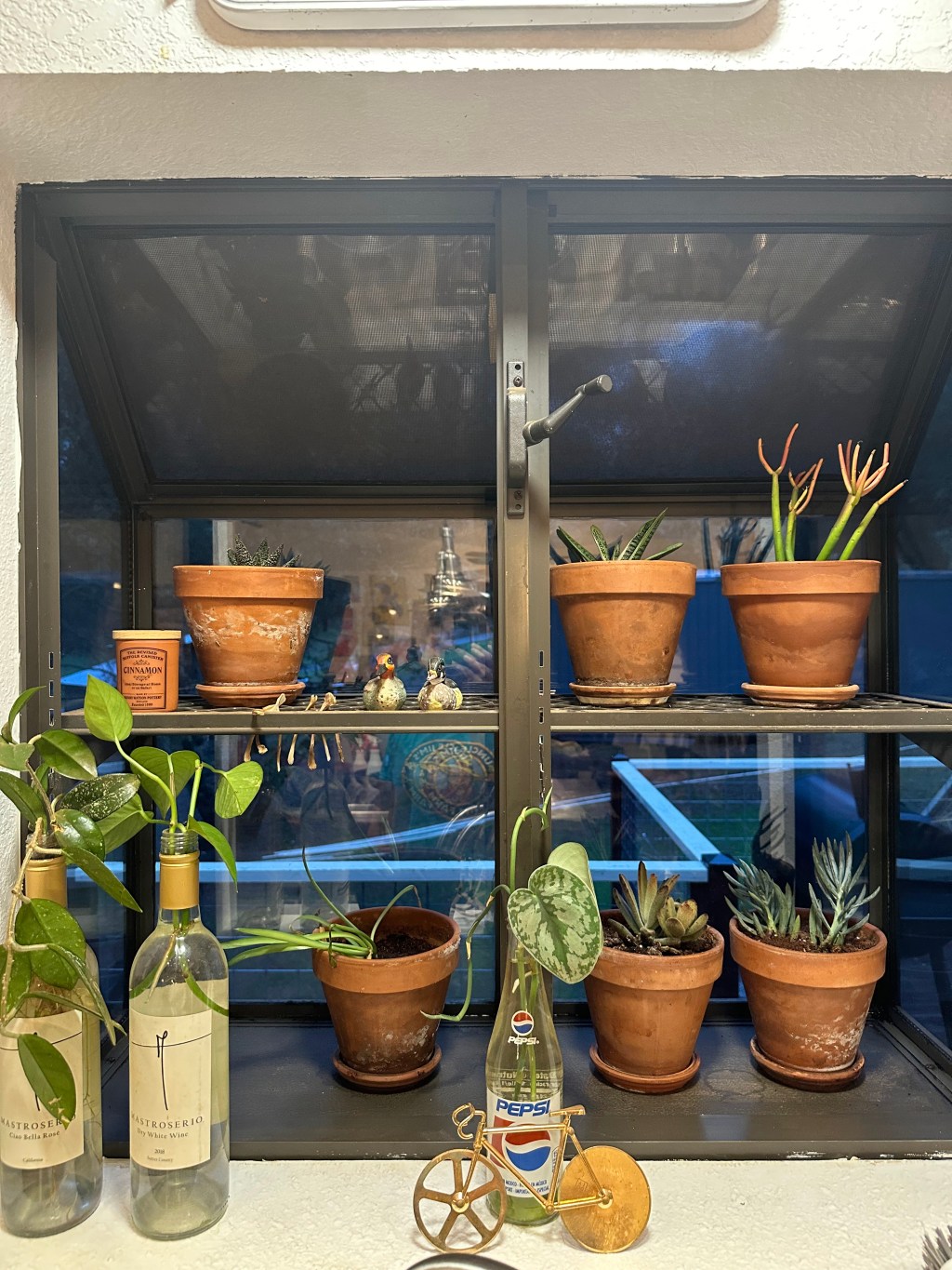 Winter on the Farm: Looking Forward in the New&nbsp;Year