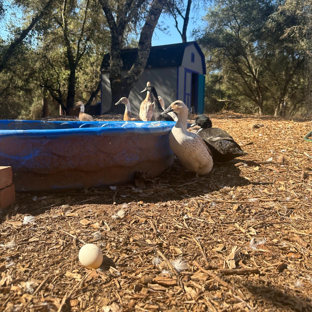 A Vote for Agriculture is a Vote for All of&nbsp;US