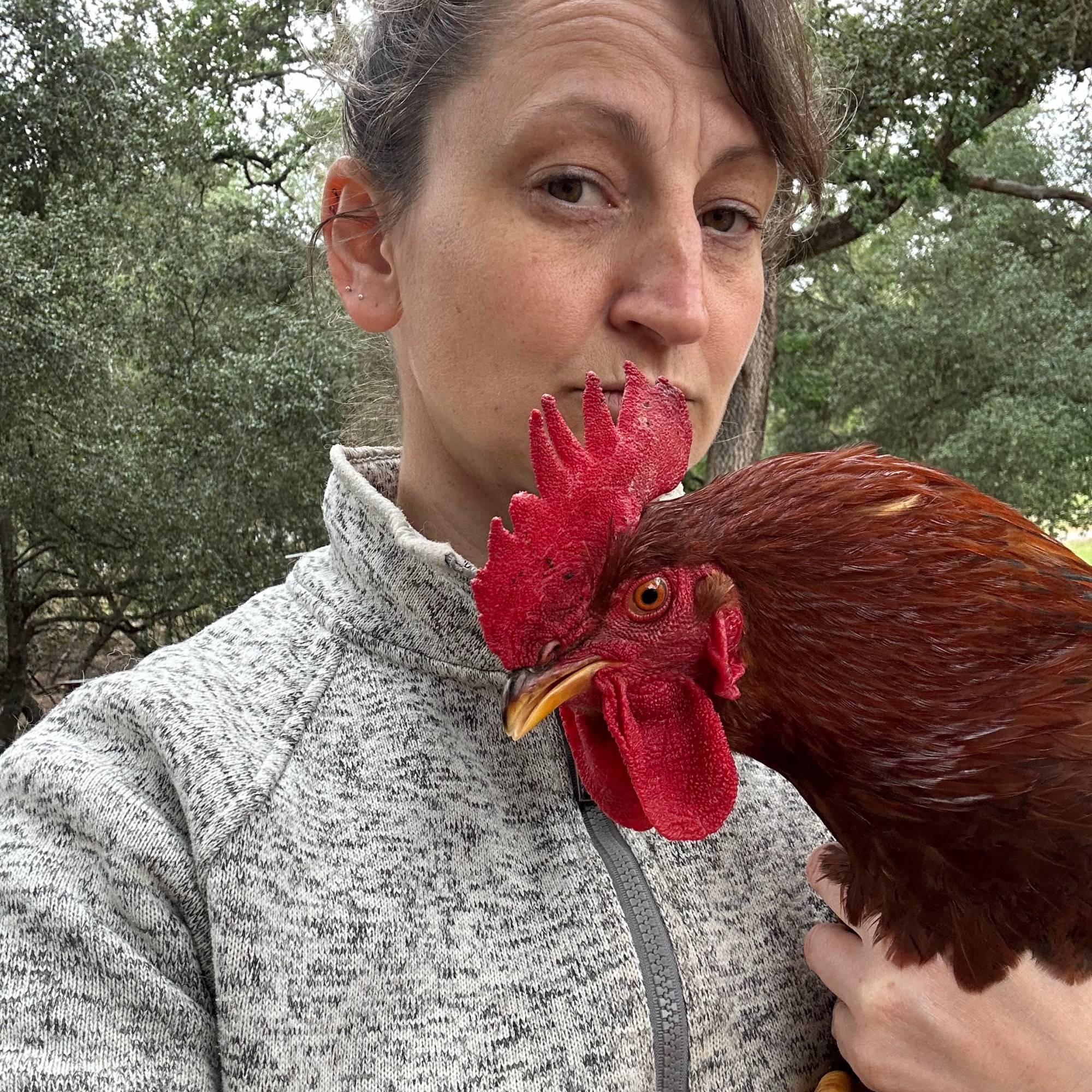 Girl with rooster